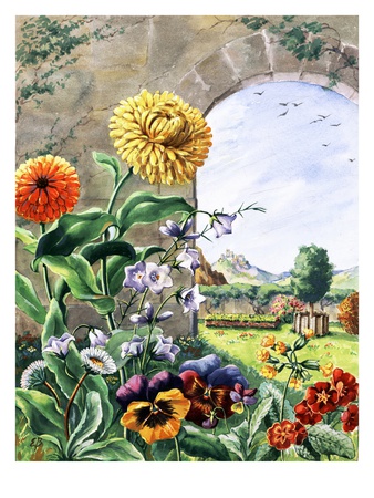 Pot Marigolds, Bellflowers, Daisies, Pansies, Cowslip, Polyanthas by National Geographic Society Pricing Limited Edition Print image