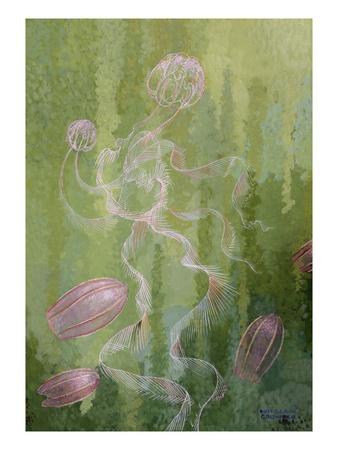 A Painting Of Two Species Of Comb-Jellies by William H. Crowder Pricing Limited Edition Print image