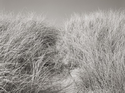 Sylt Xvi by Nicola Dill Pricing Limited Edition Print image