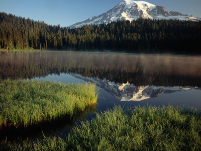 Mount Rainier Reflected In Reflection Lake by Pat O'hara Pricing Limited Edition Print image