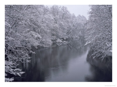 Snow Covered Trees Beside River Pikkala, South Finland by Heikki Nikki Pricing Limited Edition Print image