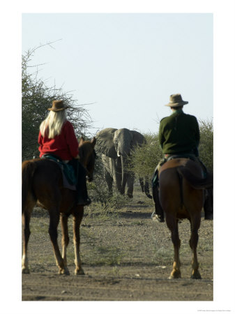 People On Horse Safari At Mashatu Game Reserve, Botswana by Roger De La Harpe Pricing Limited Edition Print image