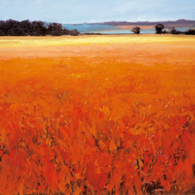 Rural Aspect I by Robert J. Ford Pricing Limited Edition Print image