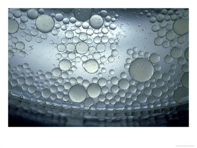 Oil Droplets Suspended On Surface Of Water, Close-Up Uk by Mark Hamblin Pricing Limited Edition Print image