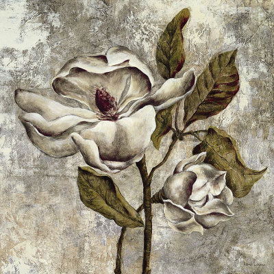 Silver Magnolia Ii by Laurel Lehman Pricing Limited Edition Print image