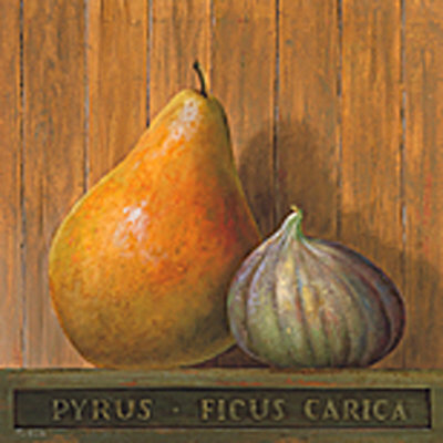 Pyrus And Ficus by Fabrice De Villeneuve Pricing Limited Edition Print image