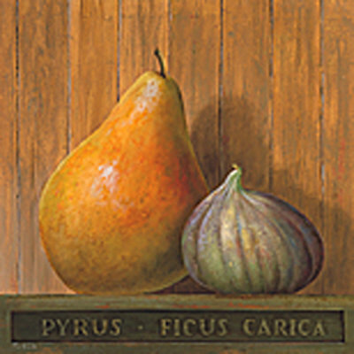 Pyrus And Ficus by Fabrice De Villeneuve Pricing Limited Edition Print image