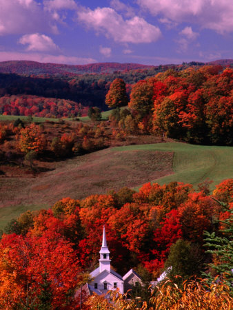 The White Steeple Of A Church Among Colourful Autumn Leaves by Mark Newman Pricing Limited Edition Print image