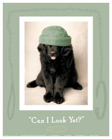 Can I Look Yet by Rachael Hale Pricing Limited Edition Print image
