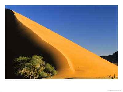 Sand Dune, Namibia by Roger De La Harpe Pricing Limited Edition Print image