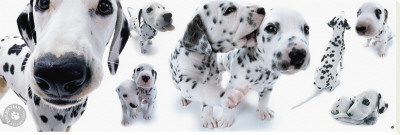 Dalmatians by Yoneo Morita Pricing Limited Edition Print image