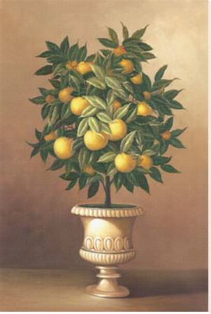 Potted Orange Tree by Welby Pricing Limited Edition Print image