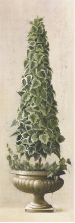 Cone Ivy Green, White Topiary by Welby Pricing Limited Edition Print image