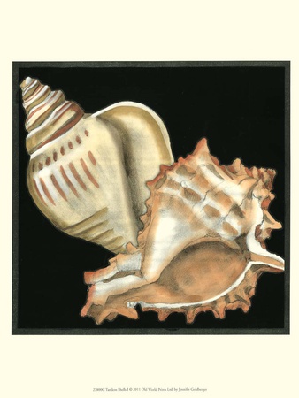Tandem Shells I by Jennifer Goldberger Pricing Limited Edition Print image