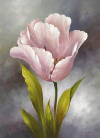 White Tulip by Fasani Pricing Limited Edition Print image
