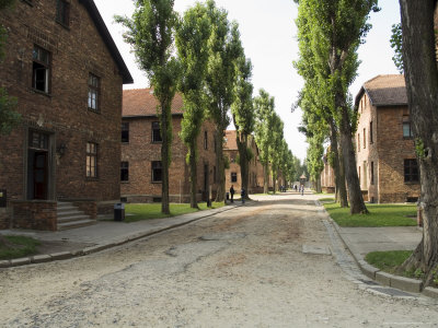 Auschwitz Concentration Camp, Now A Memorial And Museum, Unesco World Heritage Site, Near Krakow by R H Productions Pricing Limited Edition Print image