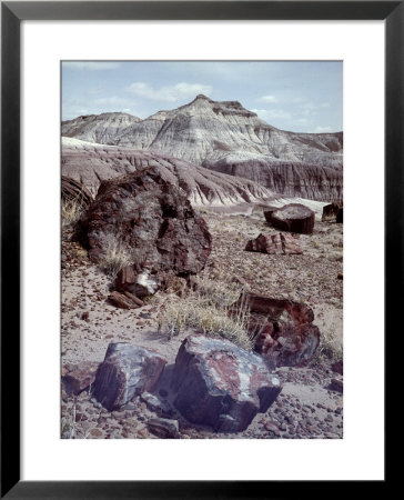 Petrified Forest National Monument by Nat Farbman Pricing Limited Edition Print image
