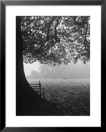 The Cricket Fields In The Back Of The Ancient College Building by Cornell Capa Pricing Limited Edition Print image