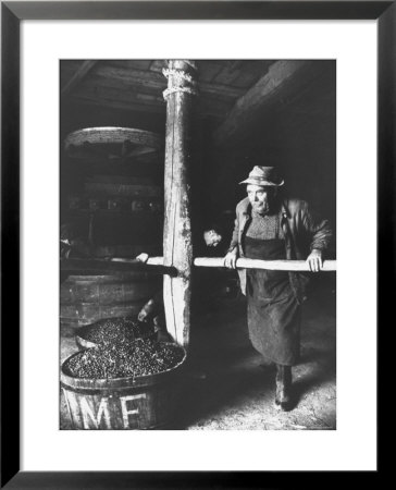 Man Using Old Wine Press At Vaux En Beauiplais Vineyard by Carlo Bavagnoli Pricing Limited Edition Print image