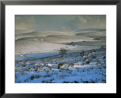Ribblesdale, Yorkshire, England, United Kingdom by Michael Busselle Pricing Limited Edition Print image