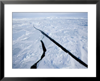 Pack Ice, Weddell Sea, Antarctic Peninsula, Antarctica, Polar Regions by Thorsten Milse Pricing Limited Edition Print image