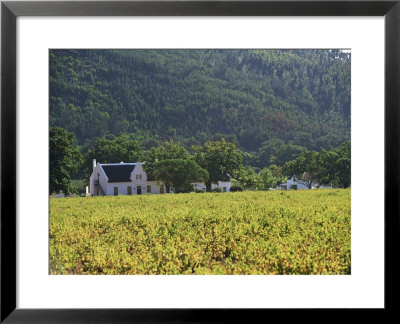 House In The Wine Growing Area Of Franschhoek, Cape Province, South Africa, Africa by Yadid Levy Pricing Limited Edition Print image