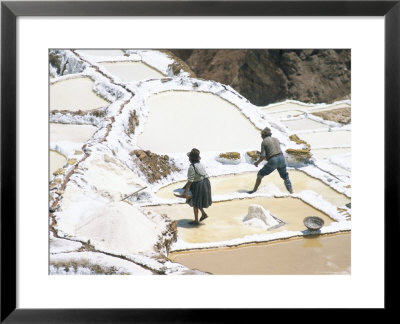 Inca Salt Pans Below Salt Spring, Salineras De Maras, Sacred Valley, Cuzco Region (Urabamba), Peru by Tony Waltham Pricing Limited Edition Print image