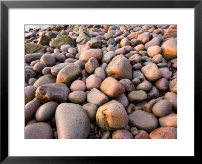 Early Morning On The Cobblestone Beach In Monument Cove, Maine, Usa by Jerry & Marcy Monkman Pricing Limited Edition Print image