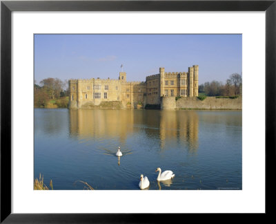 Swans In Front Of Leeds Castle, Kent, England by G Richardson Pricing Limited Edition Print image