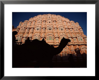 Palace Of The Winds, Camel In Silouhette, Jaipur, Rajasthan, India by Steve Vidler Pricing Limited Edition Print image
