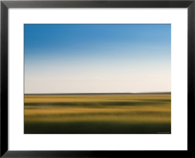 Provincelands Marshland, Cape Cod, Massachusetts, Usa by Walter Bibikow Pricing Limited Edition Print image