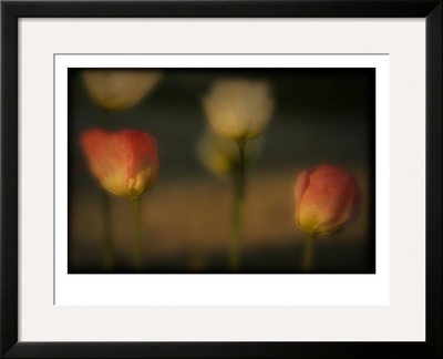 Study Of Flowers by Mia Friedrich Pricing Limited Edition Print image