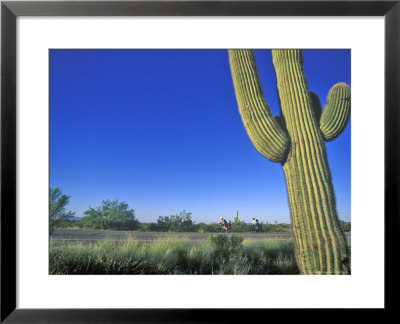 Bicycle Touring, Arizona, Usa by Chuck Haney Pricing Limited Edition Print image