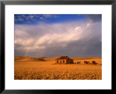 Abandoned Stone Farmhouse On The Barrier Highway Near Burra, Burra, South Australia, Australia by Ross Barnett Pricing Limited Edition Print image