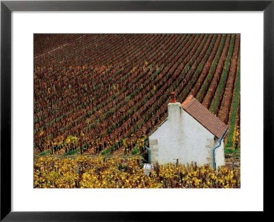 Autumn Vineyards And Farmhouse, Cote De Beaune, Beaune, Burgundy, France by Oliver Strewe Pricing Limited Edition Print image