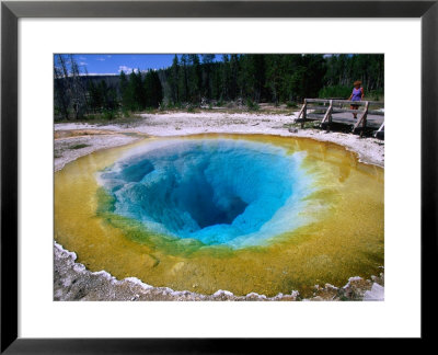 Chromatic Spring In The Norris Geyser Basin, Yellowstone National Park, Wyoming by John Elk Iii Pricing Limited Edition Print image