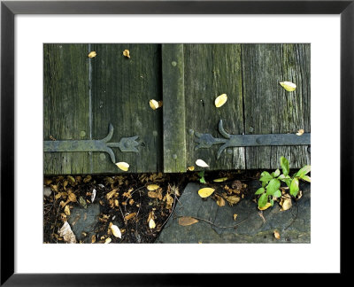 Close-Up Of Shutters With Tulip Iron Work Hinges by Todd Gipstein Pricing Limited Edition Print image