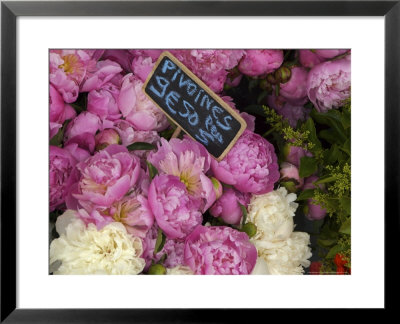 Peonies Flowers Being Sold At A Market, Paris, France by Brimberg & Coulson Pricing Limited Edition Print image