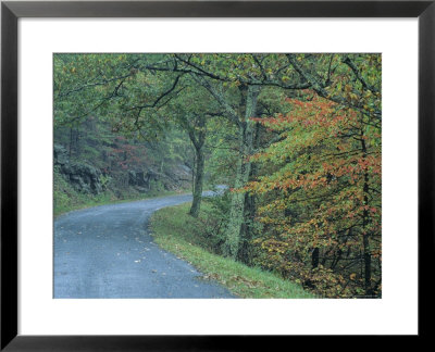 Road In The Blue Ridge Mountains, Virginia by Kenneth Garrett Pricing Limited Edition Print image