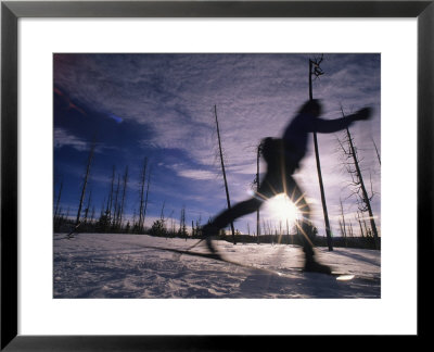 Silhouette Of Of Women Cross County Skiing In Wyoming, Yellowstone by Bobby Model Pricing Limited Edition Print image