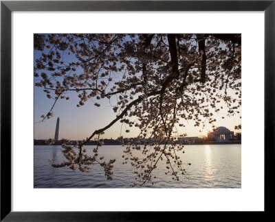 Washington Monument And Jefferson Memorial With Cherry Blossom Trees, Washington, D.C. by Kenneth Garrett Pricing Limited Edition Print image