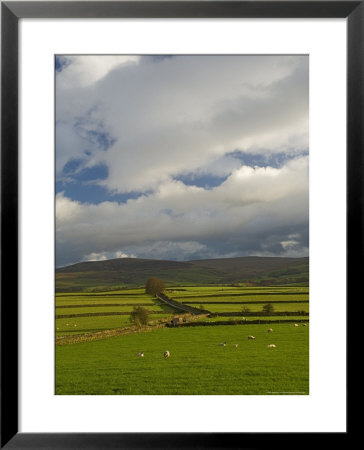 Dry Stone Walls Below The Pennines, Eden Valley, Cumbria, England, United Kingdom by James Emmerson Pricing Limited Edition Print image