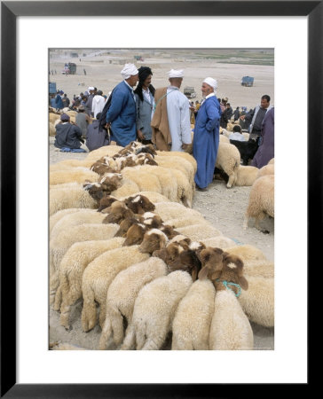 Moussem Des Fiancees, Imilchil, High Atlas, Morocco, North Africa, Africa by Bruno Morandi Pricing Limited Edition Print image