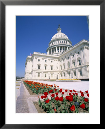 Capitol Building, Washington Dc, Usa by I Vanderharst Pricing Limited Edition Print image
