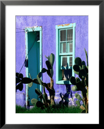 Cacti Outside Adobe House In Historic District, Tucson, Arizona by David Tomlinson Pricing Limited Edition Print image