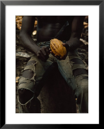 Shirtless, Sitting Man Splits A Cacao Pod With A Knife by James L. Stanfield Pricing Limited Edition Print image