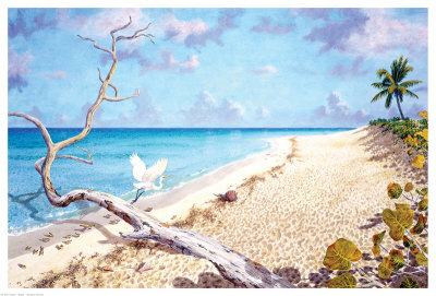 Out Tropical Island by Richard Shaffett Pricing Limited Edition Print image