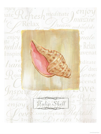 Tulip Shell by Cynthia Rodgers Pricing Limited Edition Print image