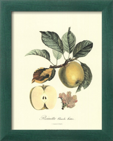 Apple by Pierre-Antoine Poiteau Pricing Limited Edition Print image
