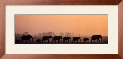 Troupeau D'elephants by Michel & Christine Denis-Huot Pricing Limited Edition Print image